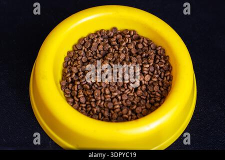 Ciotola gialla ripiena di kibble, primo piano di studio che mostra pellet marroni secchi all'interno del piatto di plastica su sfondo nero, Foto Stock