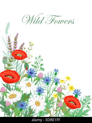 Fiori selvatici disegnati a mano con papaveri rossi, margherite bianche, fiori di mais blu e altri fiori selvatici su sfondo chiaro. Sfondo botanico angolo Illustrazione Vettoriale