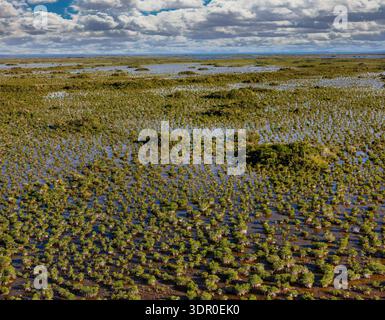 Il Parco Nazionale delle Everglades protegge la più grande natura selvaggia subtropicale degli Stati Uniti, che comprende oltre 1,5 milioni di acri di paludi Foto Stock