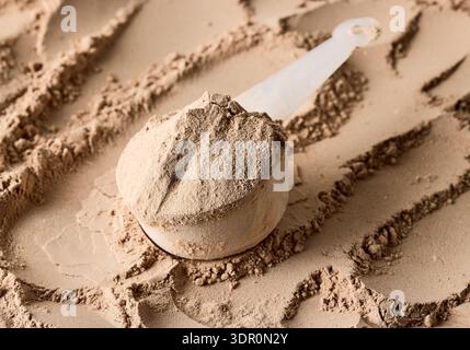 polvere vegana aromatizzata al cioccolato con proteine del siero di latte in polvere Foto Stock
