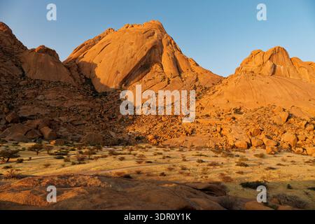 Cima di granito dorato Spitzkoppe che si illumina al tramonto, paesaggio desertico della Namibia con spettacolari formazioni rocciose, savana secca e cielo limpido, iconica la africana Foto Stock