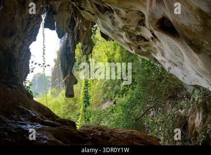Ingresso alla grotta calcarea di Leang-leang, Sulawesi, Indonesia, sito archeologico preistorico nel paesaggio carsico, vegetazione tropicale e formazioni rocciose Foto Stock