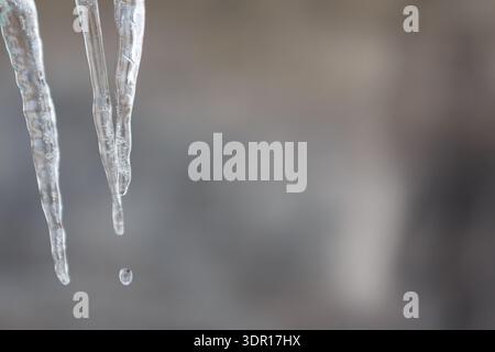 I ghiaccioli gocciolanti si aggrappano da un tetto mentre il clima invernale continua in un clima freddo Foto Stock