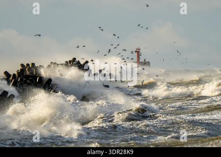 Potenti onde tempeste colpiscono la frangia del porto di Liepaja nel Mar Baltico, con gabbiani che si innalzano su acque accidentate e cieli pieni di spruzzi Foto Stock