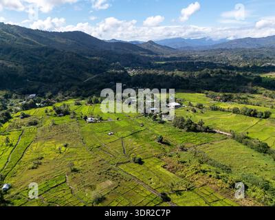 Vista aerea della risaia con vista sul monte Kinabalu a Ranau Sabah Malesia Foto Stock