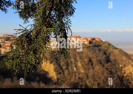 Il paesaggio urbano di Sighnaghi e delle montagne del Caucaso appare morbido in lontananza, visto attraverso la foresta. Foto Stock