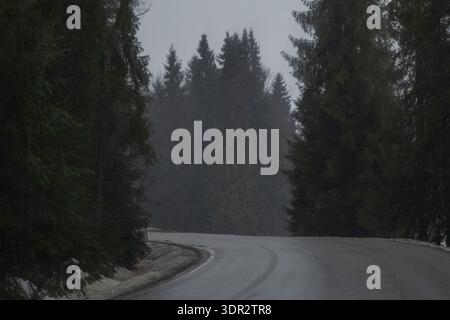 Strada asfaltata bagnata che attraversa una foresta sempre buia con il tempo nebbioso. L'atmosfera nebbiosa e la bassa visibilità creano un viaggio e un trasloco tranquilli Foto Stock