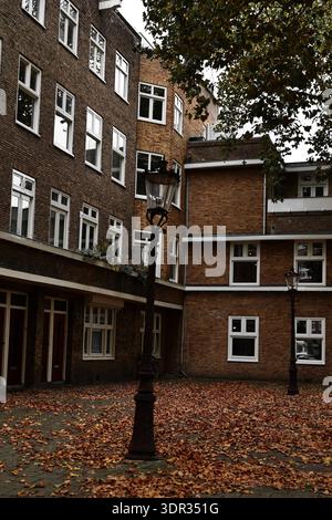 Il cortile degli appartamenti in mattoni con lampioni stradali è coperto da foglie cadute sotto gli alberi, una tranquilla zona residenziale di Amsterdam, Paesi Bassi in autunno. Foto Stock
