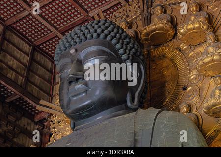 Editoriale: NARA, HONSHU, GIAPPONE, 7 settembre 2025 - la statua di Daibutsu (grande Buddha) nel Todai-ji, una statua colossale rappresenta Vairocana Budd Foto Stock