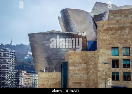 Bilbao, Spagna - 27 gennaio 2019: Vista esterna del famoso Museo Guggenheim nella città di Bilbao, in provincia di Biscaglia Foto Stock