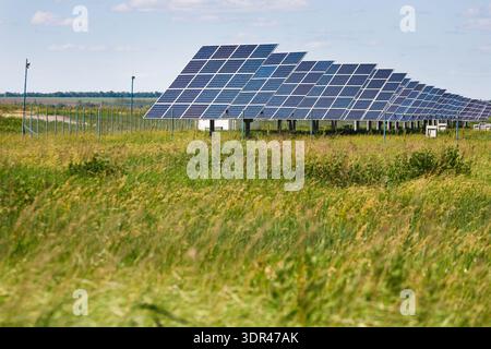 I pannelli solari in un campo catturano la luce solare per la generazione di energia Foto Stock