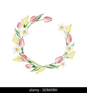 La primavera narcidia i fiori. Acquerello Narciso, illustrazione disegnata a mano pasqua isolata su sfondo, png trasparente. Clip art botaniche e nuziali Foto Stock