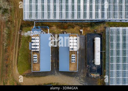 Vista aerea di serre e strutture industriali che creano un arazzo geometrico sullo sfondo della terra, Trédarzec, Bretagne, Francia. Foto Stock