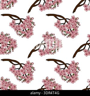 Motivo vettoriale senza cuciture di rami di ciliegio rosa in fiore su sfondo bianco Illustrazione Vettoriale