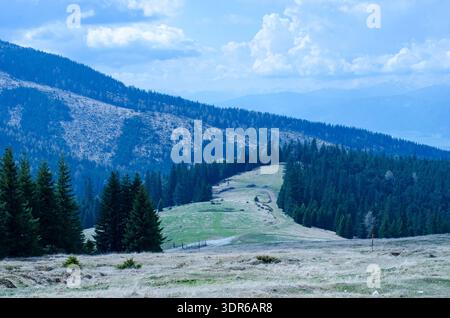 Prato alpino ondulato che conduce a densa foresta di conifere e montagne blu a strati sotto un cielo nuvoloso e luminoso Foto Stock