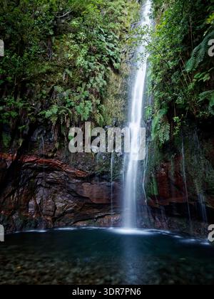Cascata 25 sorgenti (25 Fontes) gruppo di diversi ruscelli situati a Rabac, Paul da Serra sull'isola di Madeira su Levada das 25 Fontes, cascata alta 30 m. Foto Stock