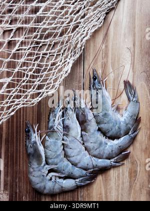 Gamberetti grigi Foto Stock