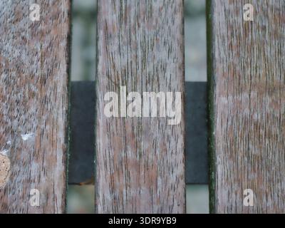 Vista dall'alto dettagliata delle tavole in legno invecchiato con usura naturale e note verdi mossy, perfetta per superfici rustiche, fondali da costruzione o surfa organico Foto Stock