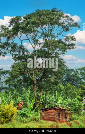 Paesaggio della povertà del Kenya meridionale. Piccola casa cattiva condintion Foto Stock