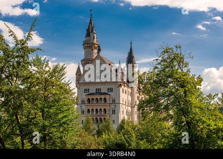 Facciata posteriore del castello di Neuschwanstein tra gli alberi Foto Stock
