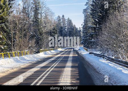 Strada forestale innevata durante la stagione invernale. Strada di campagna vuota circondata da alberi e neve. Freddo paesaggio esterno alla luce del giorno. Foto Stock