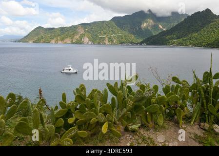 Vista della baia di Soufriere sull'isola di Dominica Foto Stock