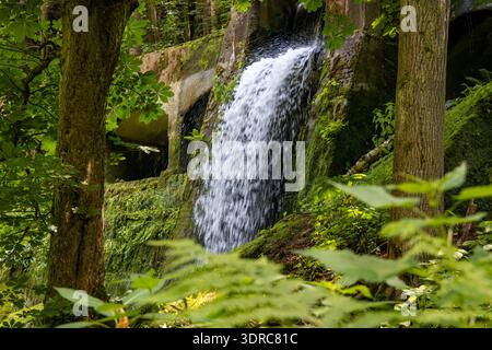 Vecchia centrale idroelettrica di Niezelgrund, cascata della gola di Lohmen Foto Stock