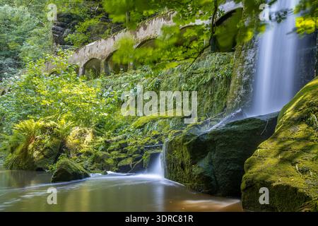Vecchia centrale idroelettrica di Niezelgrund, cascata della gola di Lohmen Foto Stock