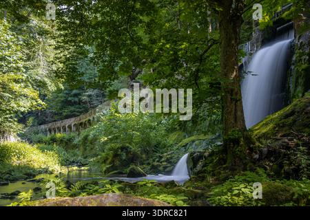 Vecchia centrale idroelettrica di Niezelgrund, cascata della gola di Lohmen Foto Stock