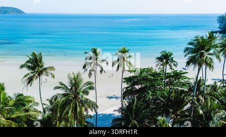 Spiagge tranquille e lussureggianti palme sull'isola di Koh Kood in Thailandia sotto un cielo azzurro Foto Stock