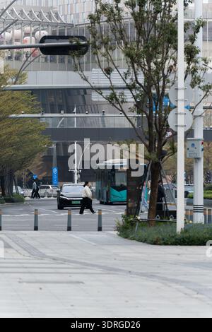 Strada urbana con attraversamento pedonale della moderna strada cittadina, alberi verdi, autobus, auto, semaforo, e edificio in vetro sullo sfondo Foto Stock