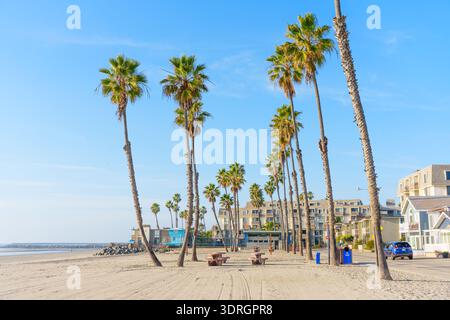 Oceanside, California - 17 dicembre 2025: Invitante vista di Oceanside Beach, dove alte palme ondeggiano sui tavoli da picnic, sullo sfondo di carro Foto Stock