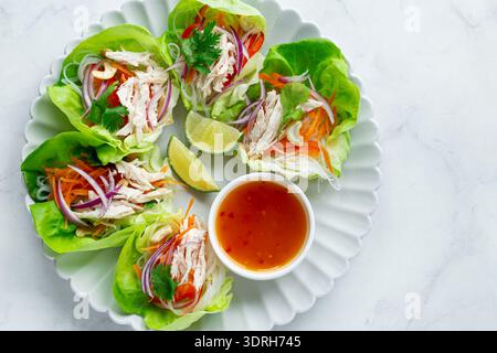 Involtini di lattuga di pollo e verdure Foto Stock
