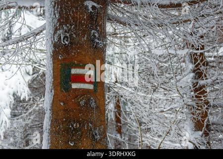 Segnaletica invernale dipinta sul tronco dell'albero, segnaletica turistica rossa e bianca ricoperta di neve in un paesaggio boschivo ghiacciato. Foto Stock