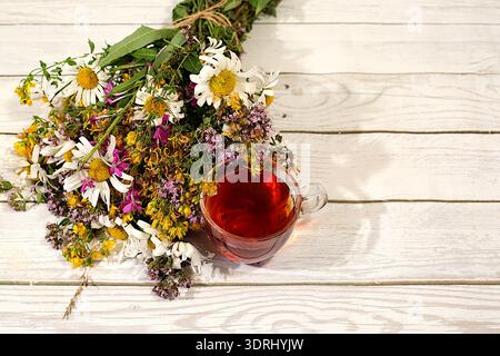 Tè alle erbe medicinali o infusione con erbe medicinali, il concetto di medicina popolare alternativa, pubblicità di una farmacia verde Foto Stock