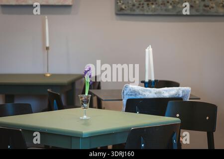 Interni minimalisti da caffè con un Giacinto fiorito in vetro e candele bianche su tavoli verdi. Accogliente ambiente del ristorante caratterizzato da un Giacinto viola. Foto Stock