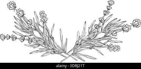 Immagine vettoriale nera dei rami lavanda che formano il bordo inferiore decorativo. Design botanico lineare disegnato a mano in stile incisione vintage Illustrazione Vettoriale