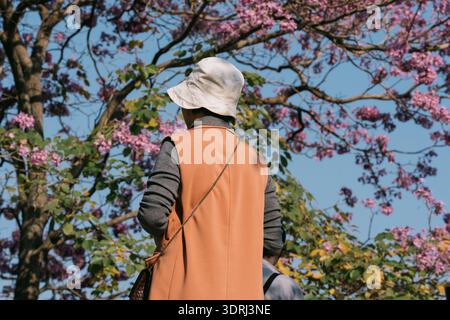 Persona che indossa un cappello beige e un gilet arancione che cammina sotto un albero rosa fiorito in un ambiente soleggiato all'aperto Foto Stock