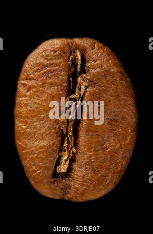 Espresso super macro di un chicco di caffè tostato molto grande Foto Stock