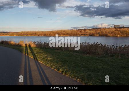 Due lunghe ombre allungate di persone che camminano su un sentiero lastricato al tramonto a Overpeck County Park, New Jersey. Foto Stock