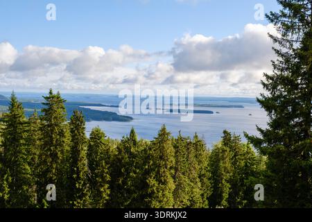 Serena vista del Parco Nazionale di Koli in Finlandia con foreste lussureggianti e lago tranquillo Foto Stock