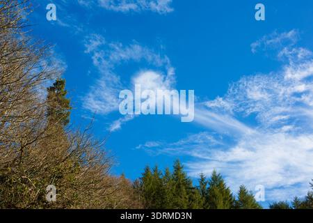 Dispersione di una nuvola di tipo virga sull'area della foresta costiera dell'Oregon. Foto Stock