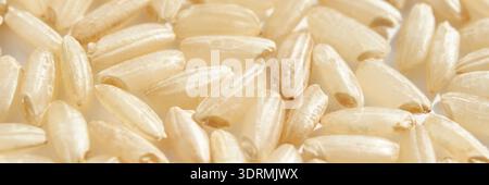 Immagine ravvicinata dei grani di riso bianco crudi che mostrano consistenza e dettagli Foto Stock
