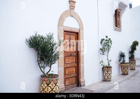 Porta in legno incorniciata da pareti bianche, adornata da fioriere decorative, che sfoggiano vegetazione vibrante e motivi intricati, creando Foto Stock