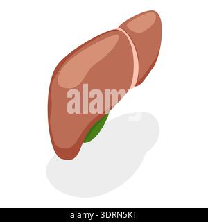 Illustrazione piatta isometrica 3D dell'anatomia del sistema digestivo, organi interni umani. Punto 3 Foto Stock