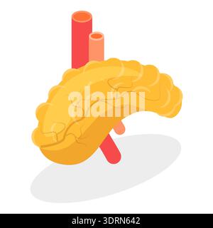 Illustrazione piatta isometrica 3D dell'anatomia del sistema digestivo, organi interni umani. Componente 1 Foto Stock