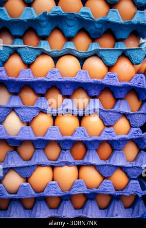 Cartoni di uova impilati ripieni di uova fresche marroni in una vivace confezione blu e viola, con strati organizzati di prodotti alimentari Foto Stock