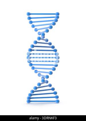 Modello DNA a doppia elica Foto Stock