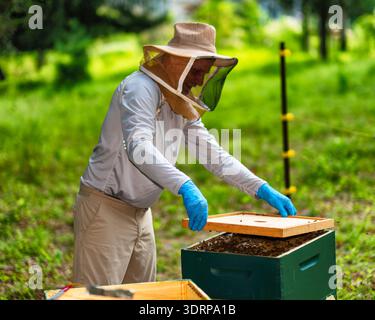 L'apicoltore sta sostituendo il Top of a Bee Hive dopo Inspection, Tewksbury, Hunterdon County, New Jersey Foto Stock