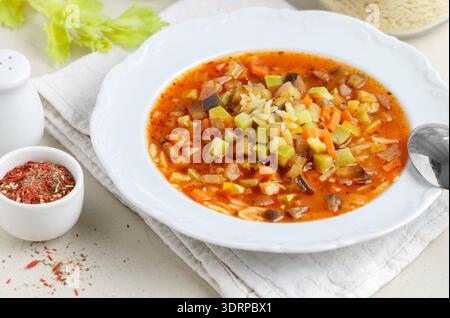 Zuppa spessa fatta in casa di verdure fresche (zucchine, melanzane, carote, cipolla, aglio, sedano, peperone, pomodori), pasta (orzo, Foto Stock